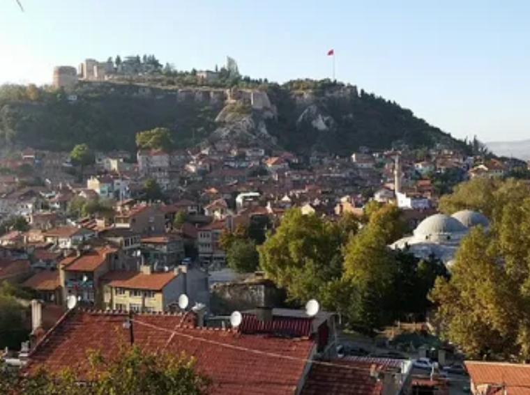KÜTAHYA EMET ABAŞ  KÖYÜNDE 3.698 M² TARLA SATILIKTIR - KÜTAHYA EMET fotoğraf 11